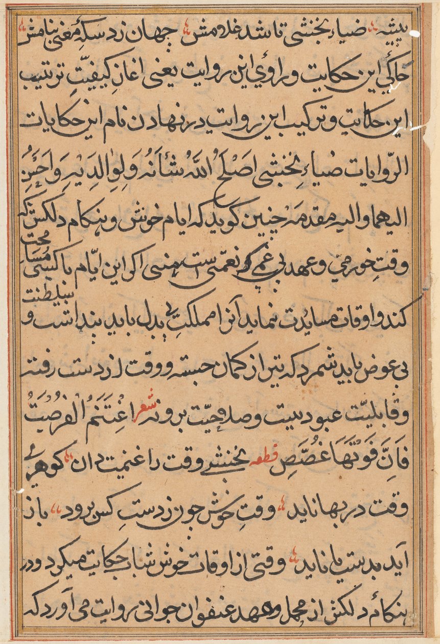 Pagina da Tales of a Parrot (Tuti-nama): pagina di testo da Unknown artist