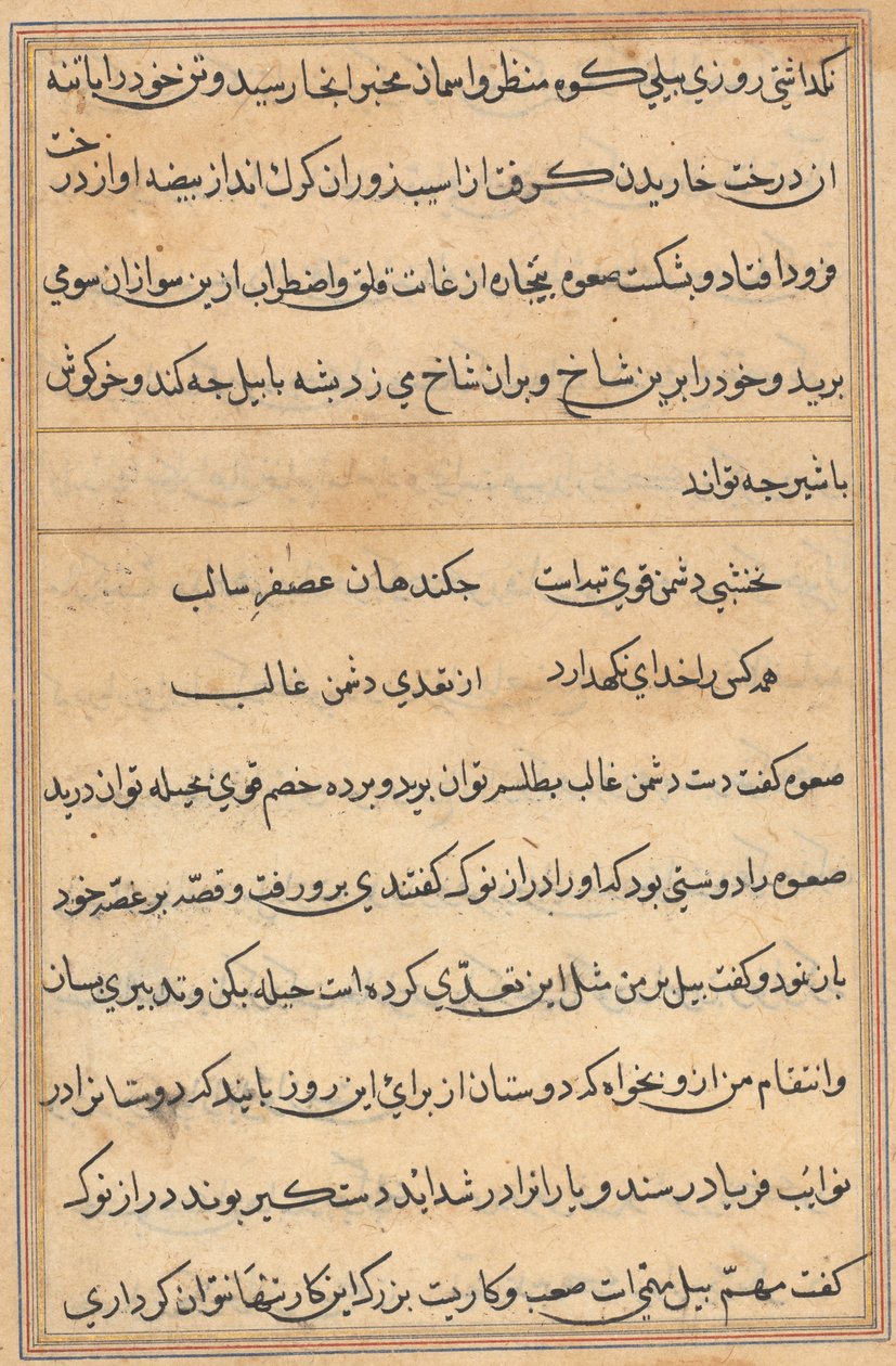 Pagina da Storie di un pappagallo (Tuti-nama): pagina di testo da Unknown artist