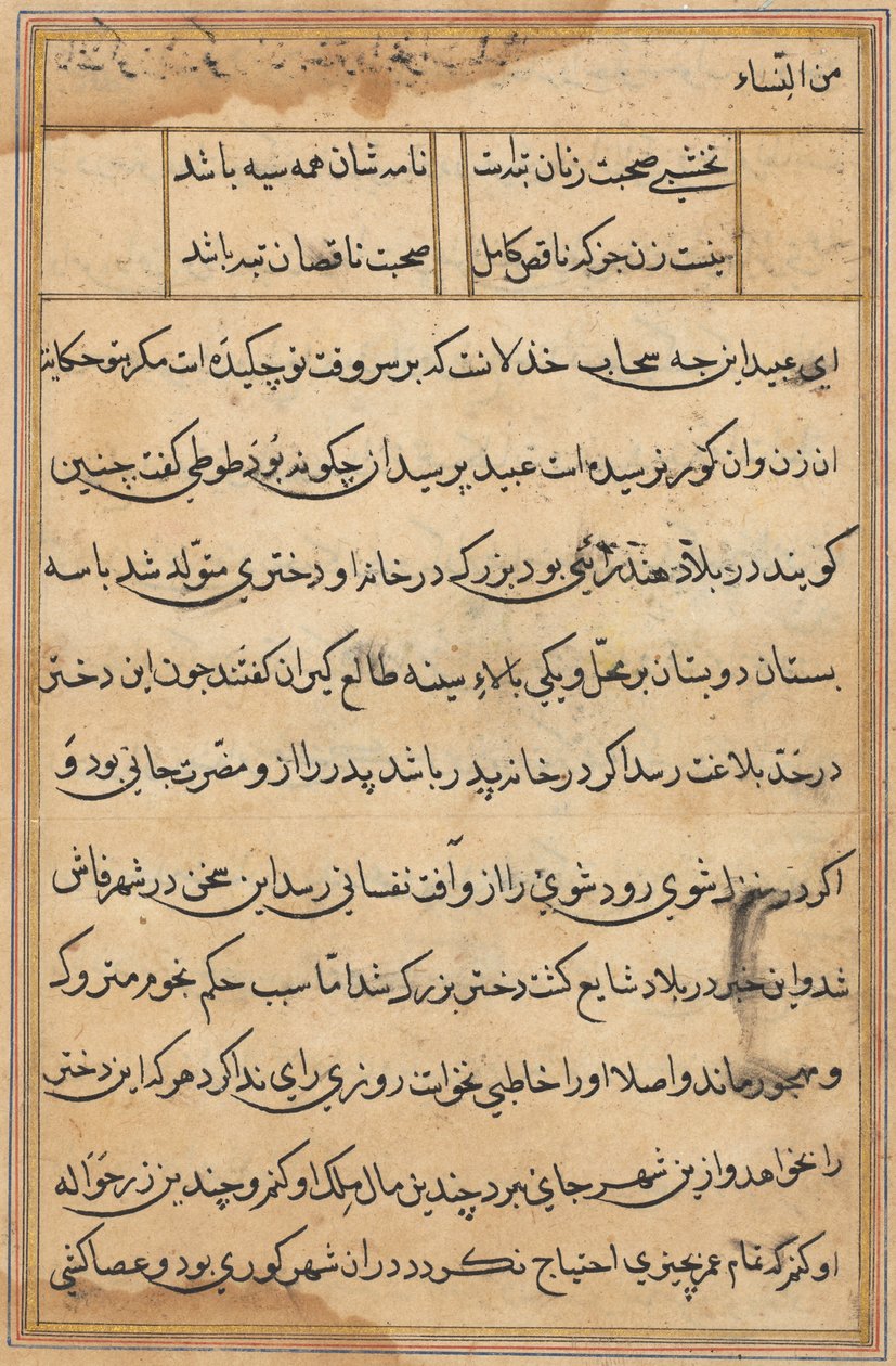 Pagina da Racconti di un pappagallo (Tuti-nama): pagina di testo da Unknown artist