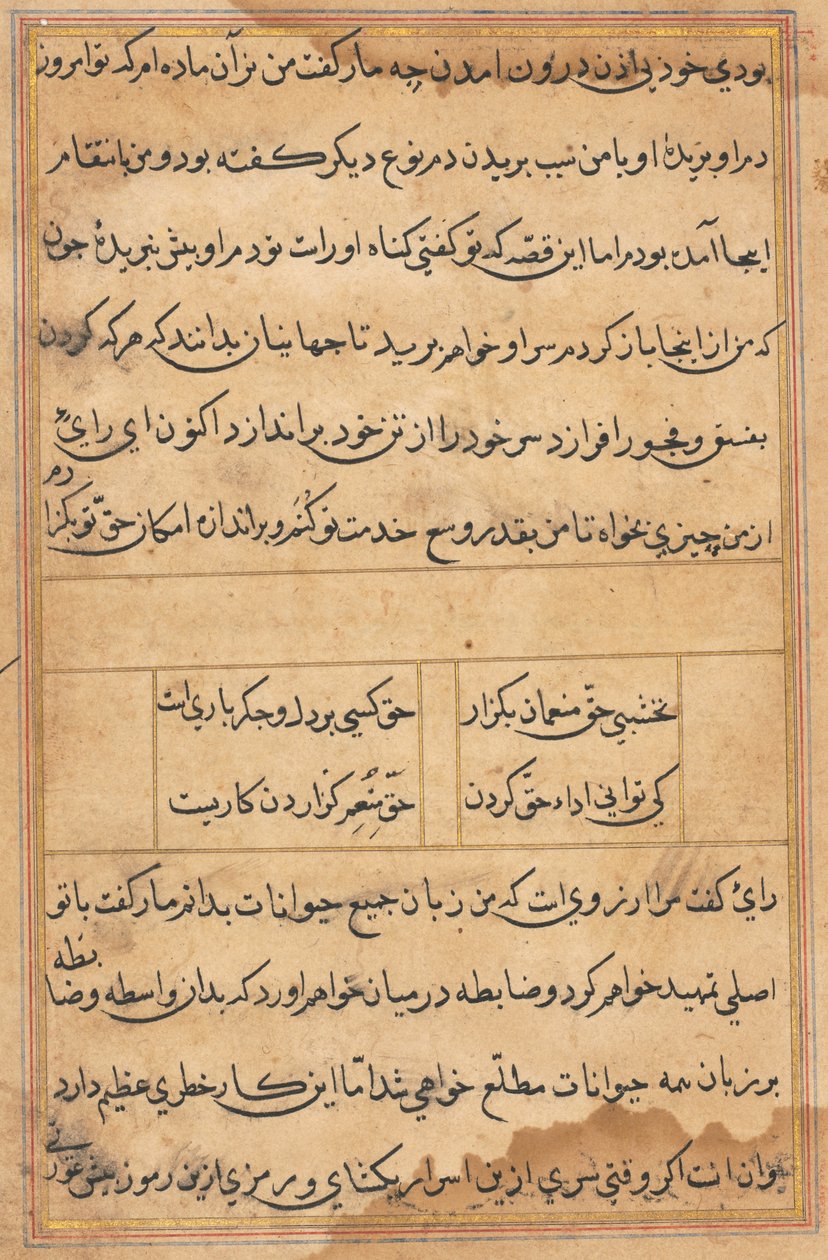 Pagina da Racconti di un pappagallo (Tuti-nama): pagina di testo da Unknown artist