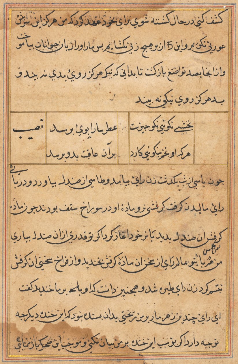 Pagina da Racconti di un pappagallo (Tuti-nama): pagina di testo da Unknown artist