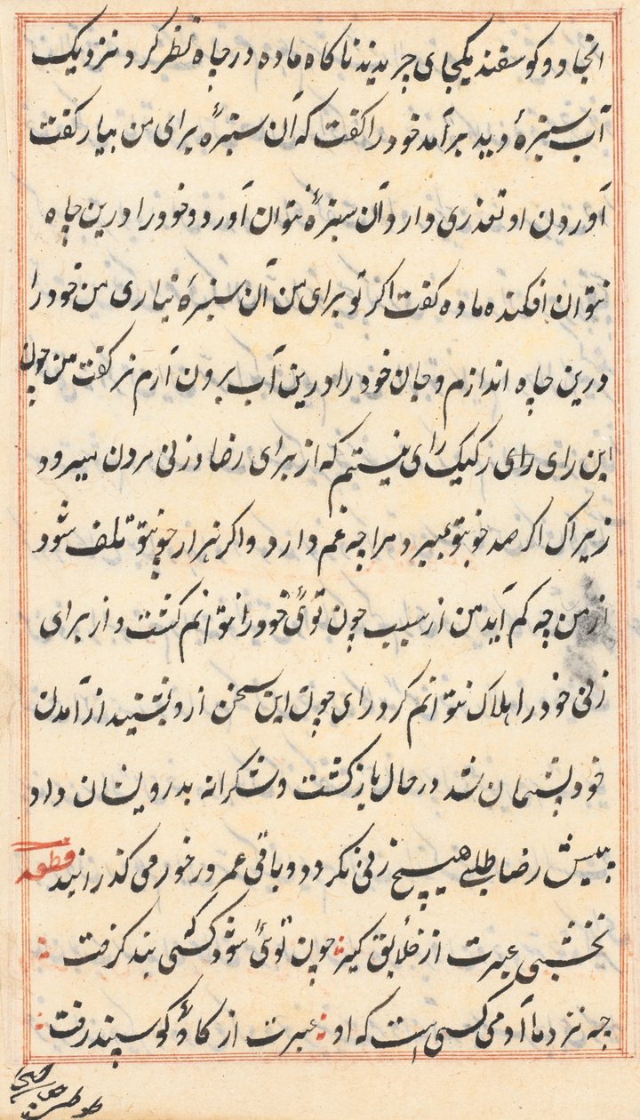 Pagina da Racconti di un pappagallo (Tuti-nama): pagina di testo da Unknown artist