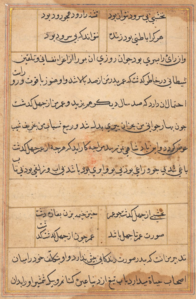Pagina da Racconti di un pappagallo (Tuti-nama): pagina di testo da Unknown artist