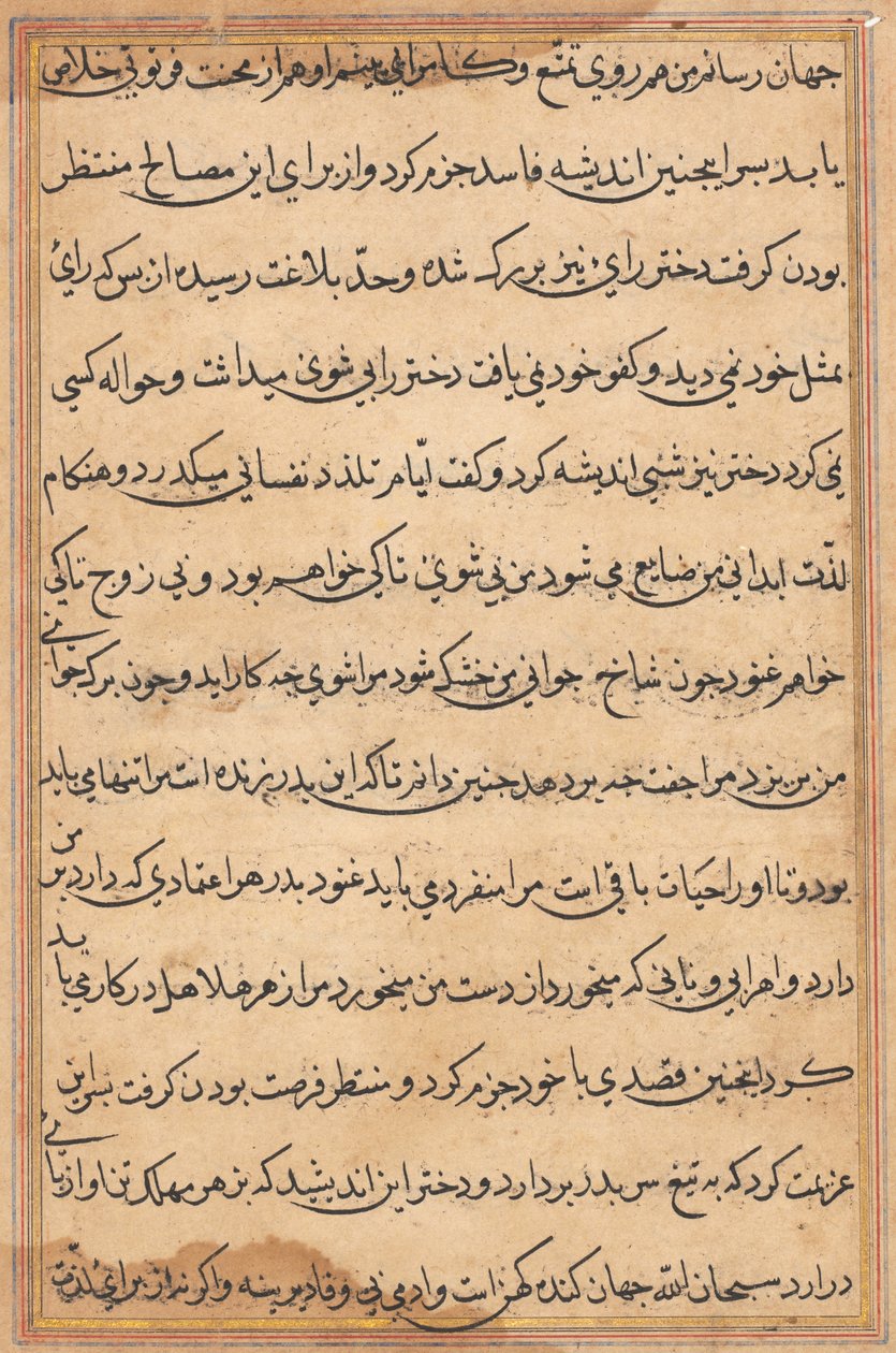 Pagina da Racconti di un pappagallo (Tuti-nama): pagina di testo da Unknown artist