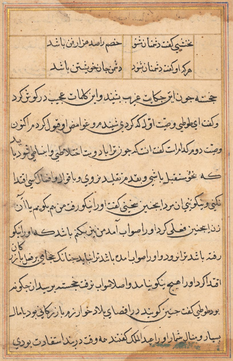 Pagina da Racconti di un pappagallo (Tuti-nama): pagina di testo da Unknown artist