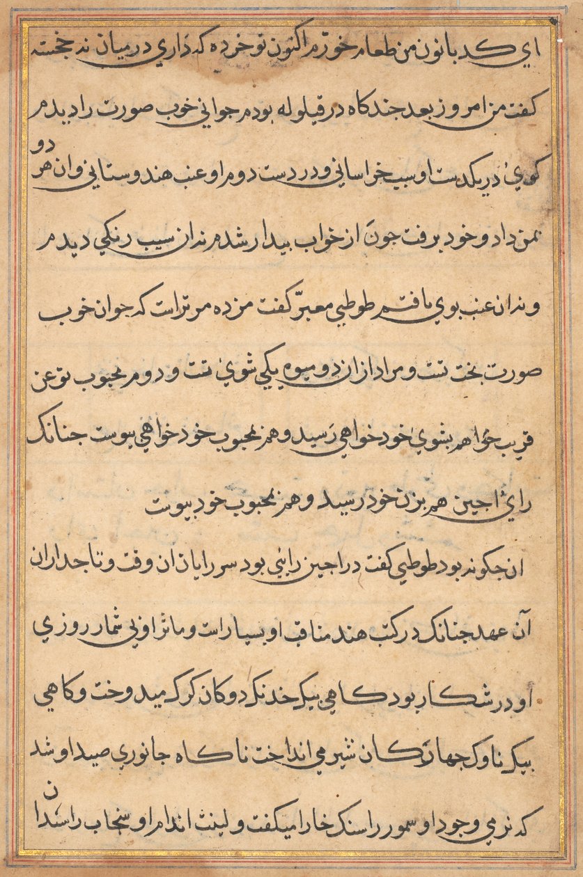 Pagina da Storie di un pappagallo (Tuti-nama): pagina di testo da Unknown artist