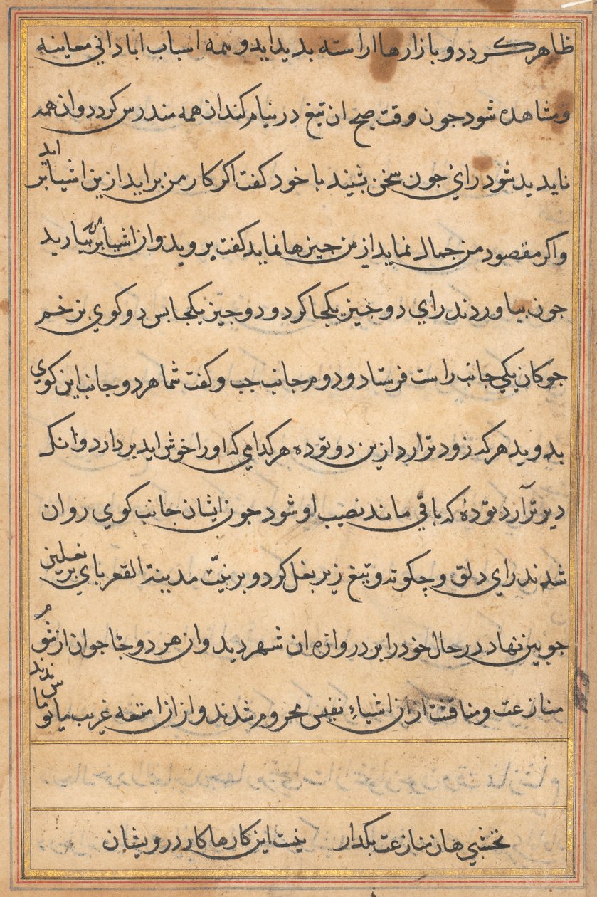 Pagina da Storie di un pappagallo (Tuti-nama): pagina di testo da Unknown artist