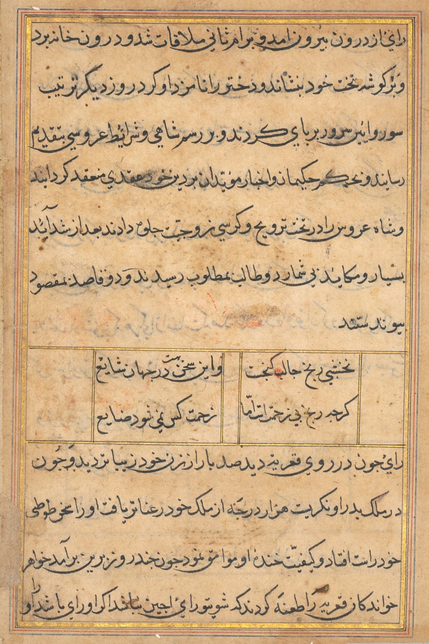 Pagina da Storie di un pappagallo (Tuti-nama): pagina di testo da Unknown artist