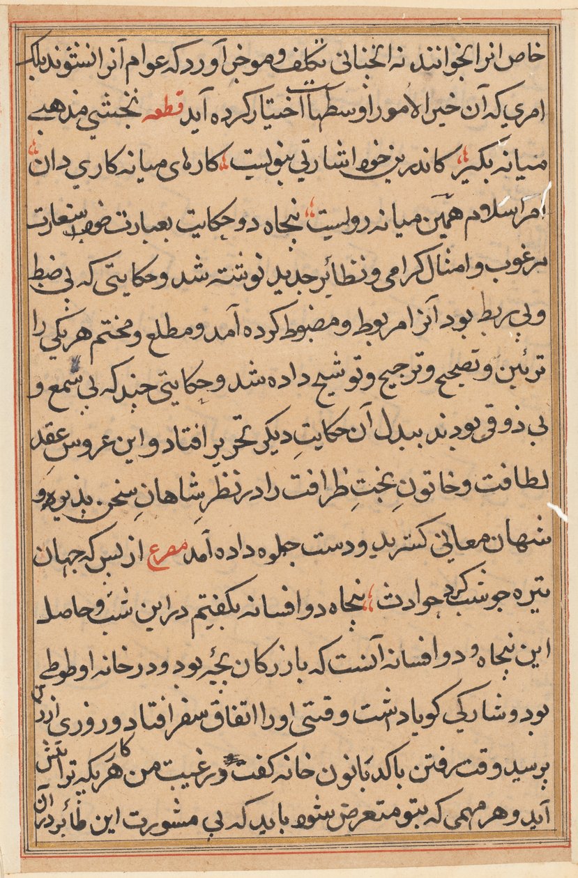 Pagina da Storie di un pappagallo (Tuti-nama): pagina di testo da Unknown artist