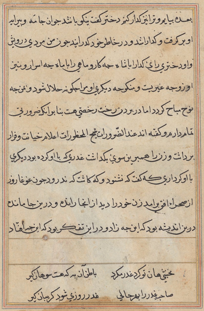 Pagina da Racconti di un pappagallo (Tuti-nama): pagina di testo da Unknown artist