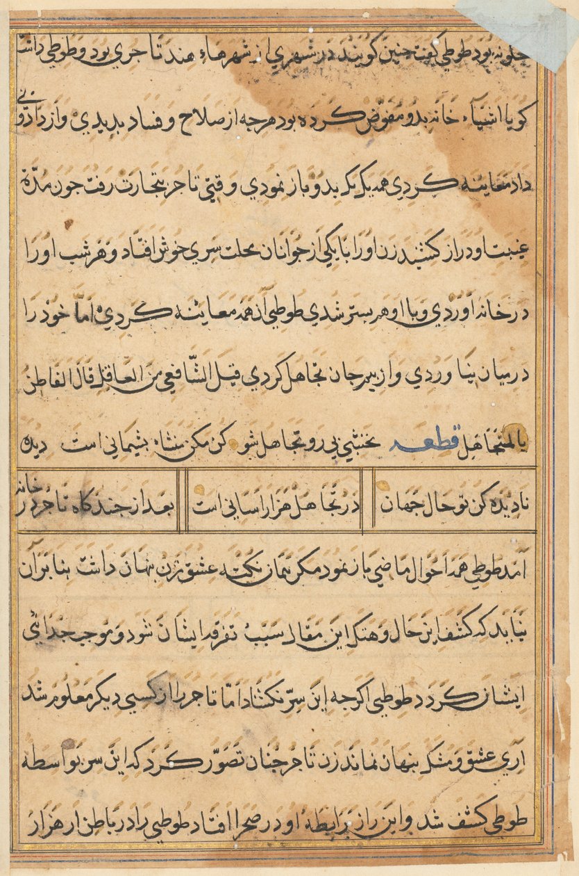 Pagina da Racconti di un pappagallo (Tuti-nama): pagina di testo da Unknown artist