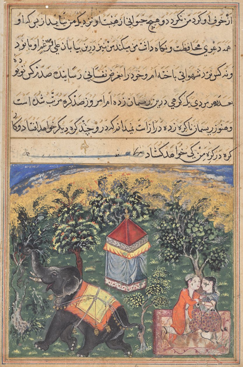 Pagina da Racconti di un pappagallo (Tuti-nama): pagina di testo da Unknown artist