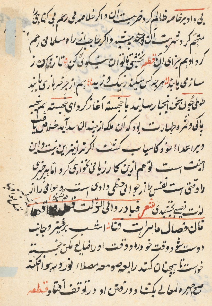 Pagina da Racconti di un pappagallo (Tuti-nama): pagina di testo da Unknown artist