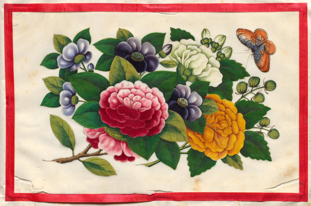 Pittura Tre dal Libro illustrato di fiori e farfalle da Unknown artist