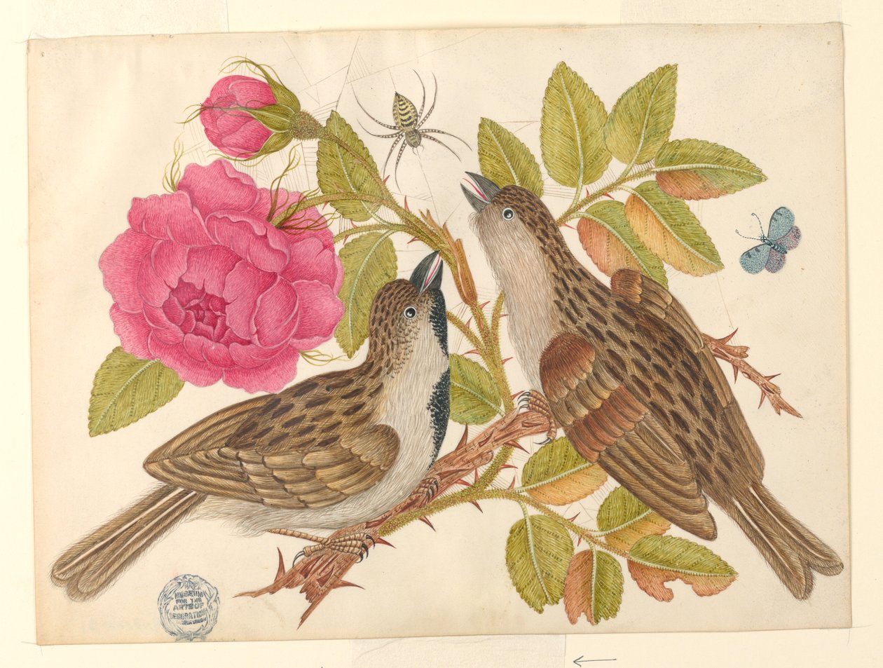 Coppia di uccelli marroni su stelo di rosa con farfalla e ragno da Unknown artist