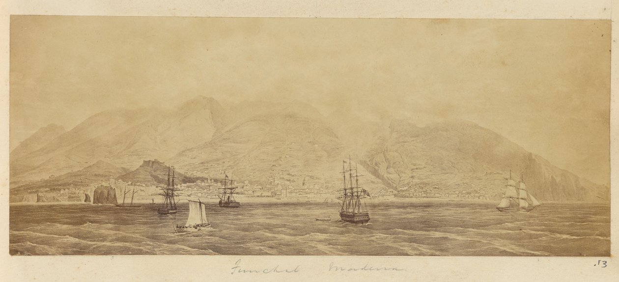 [Panorama del porto, Funchal, Madeira]. da Unknown artist