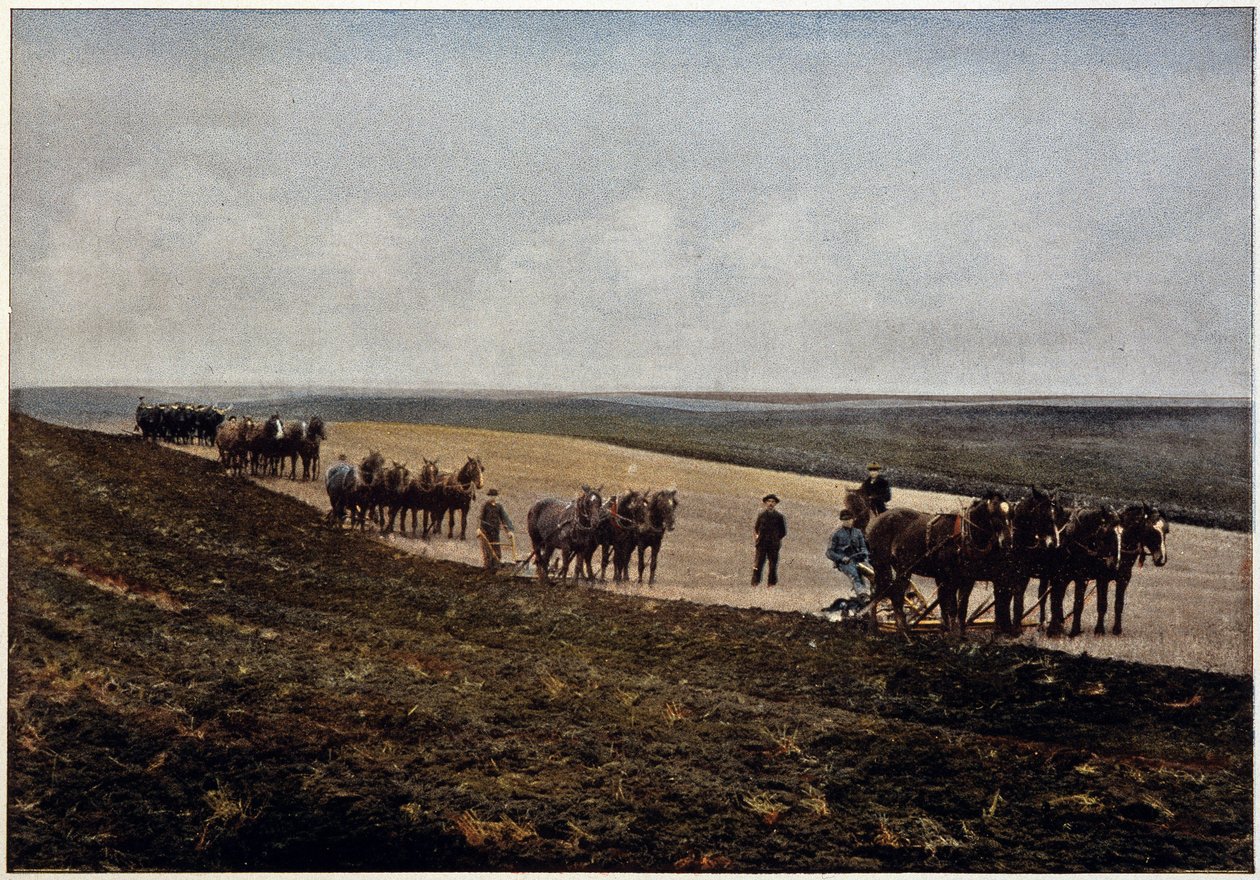 Aratura nelle pianure del Manitoba (Canada), fine XIX secolo da Unknown artist