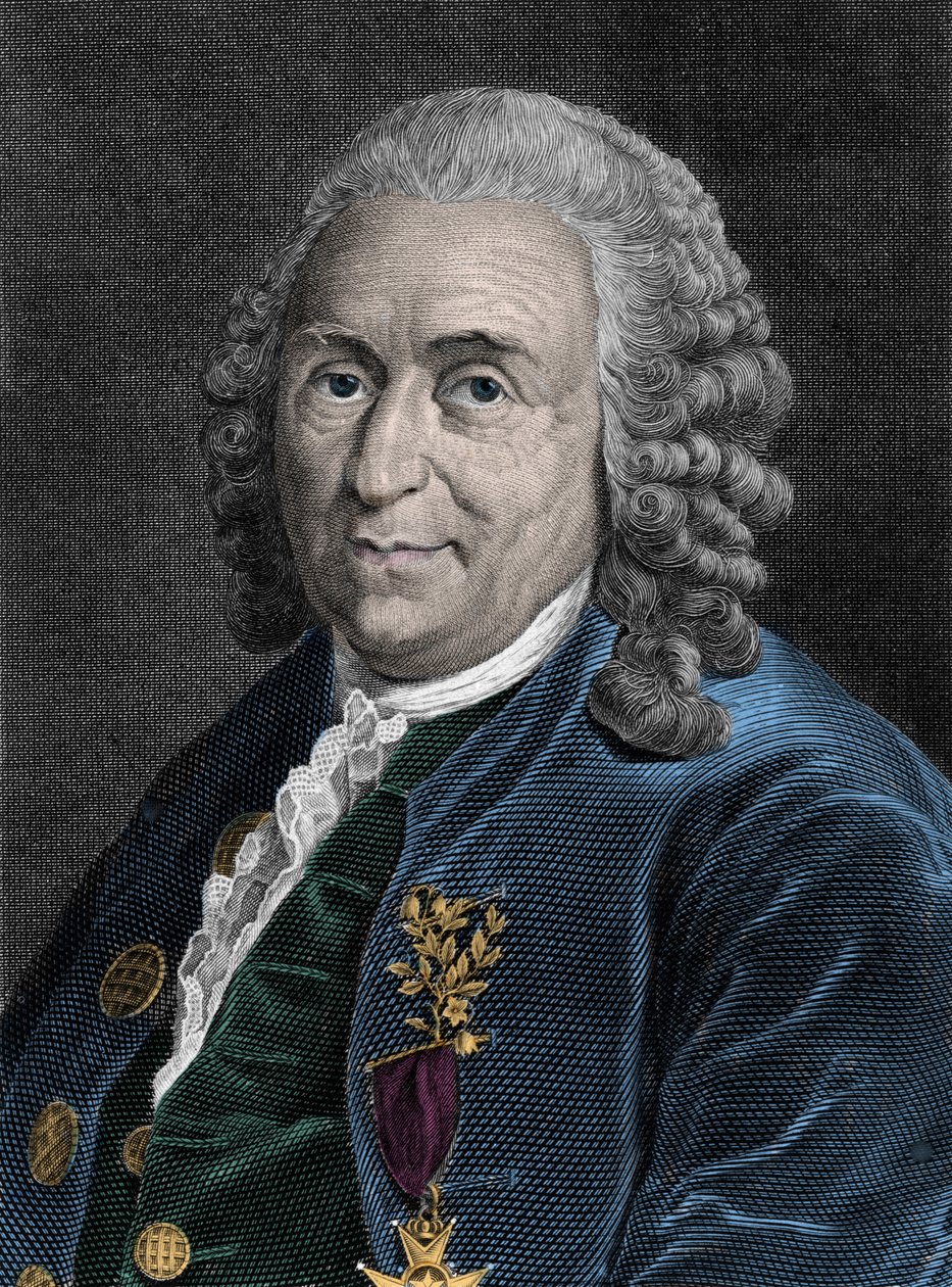 Ritratto di Carlo Linneo (Carl von Linne, Linneus 1707-1778), naturalista svedese. Incisione del XIX secolo da Unknown artist