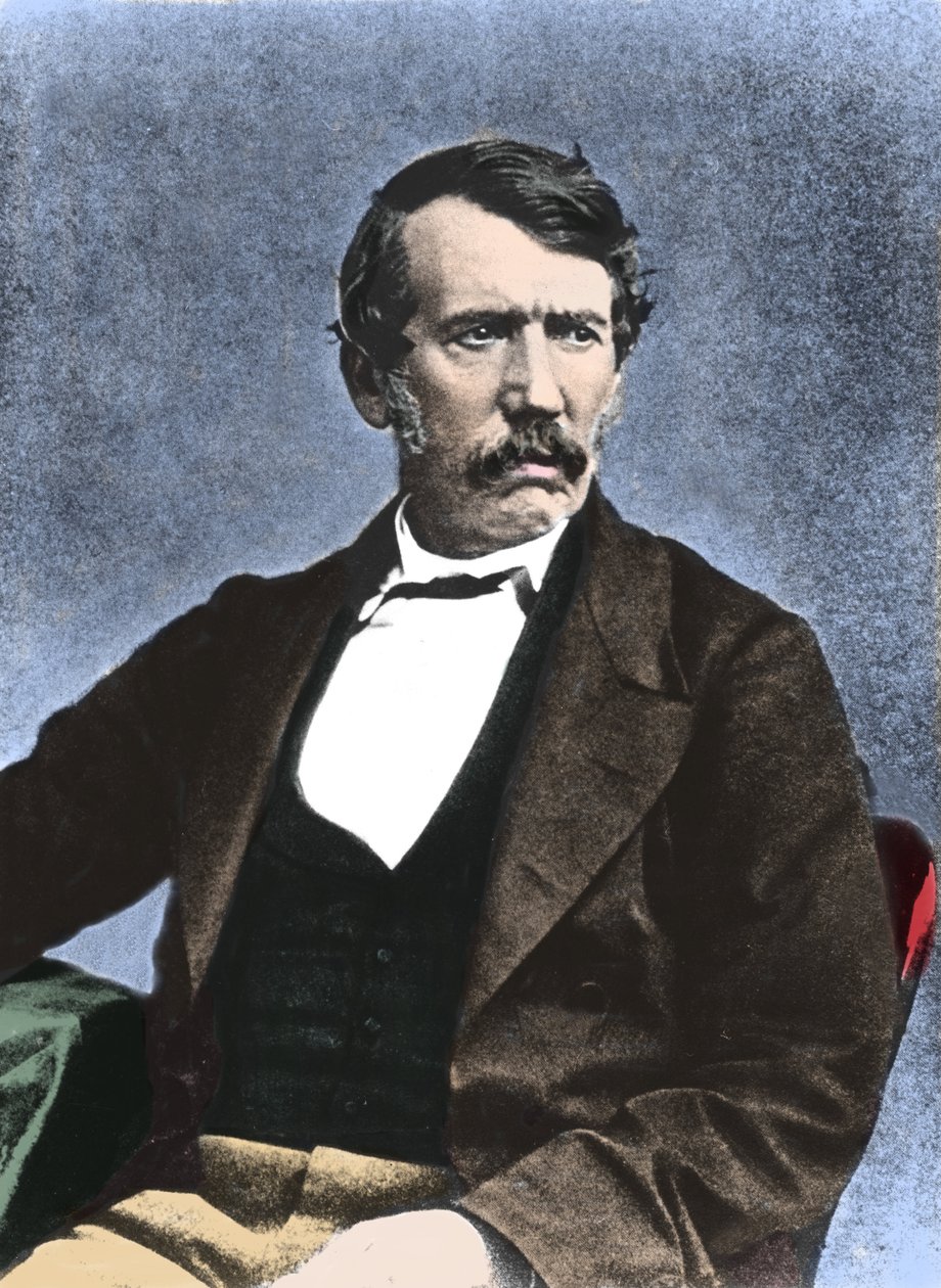 Ritratto di David Livingstone, missionario e esploratore scozzese da Unknown artist
