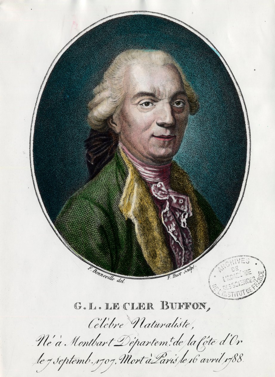 Ritratto di George Louis Le Clerc, Conte di Buffon da Unknown artist