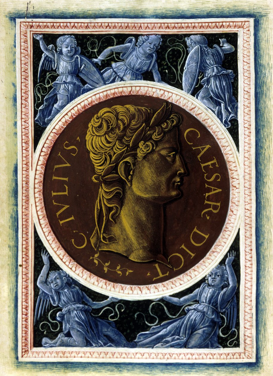 Ritratto di Giulio Cesare - in 