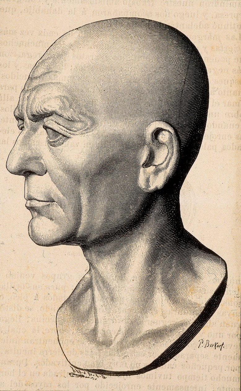Ritratto di Publio Cornelio Scipione (Scipione l