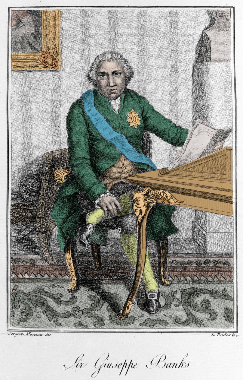 Porträt von Sir Joseph Banks (1743-1820), englischer Entdecker und Naturforscher. Farbgravur von Unknown artist