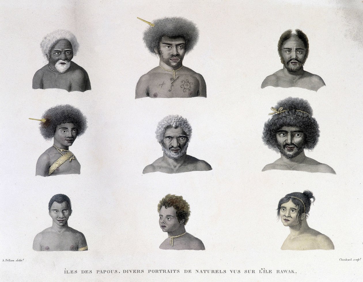 Ritratti dei Papua dell