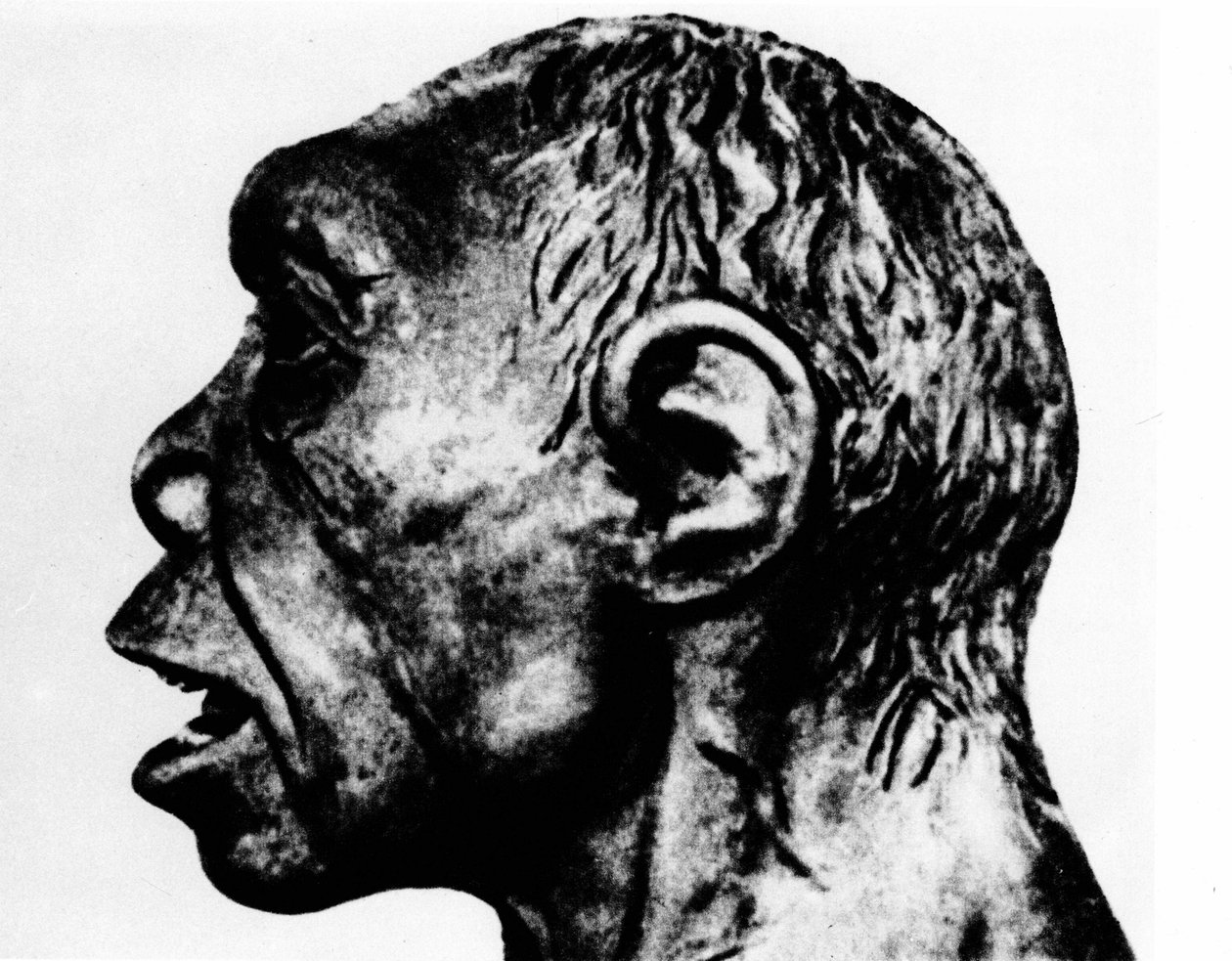 Preistoria: Ricostruzione dell