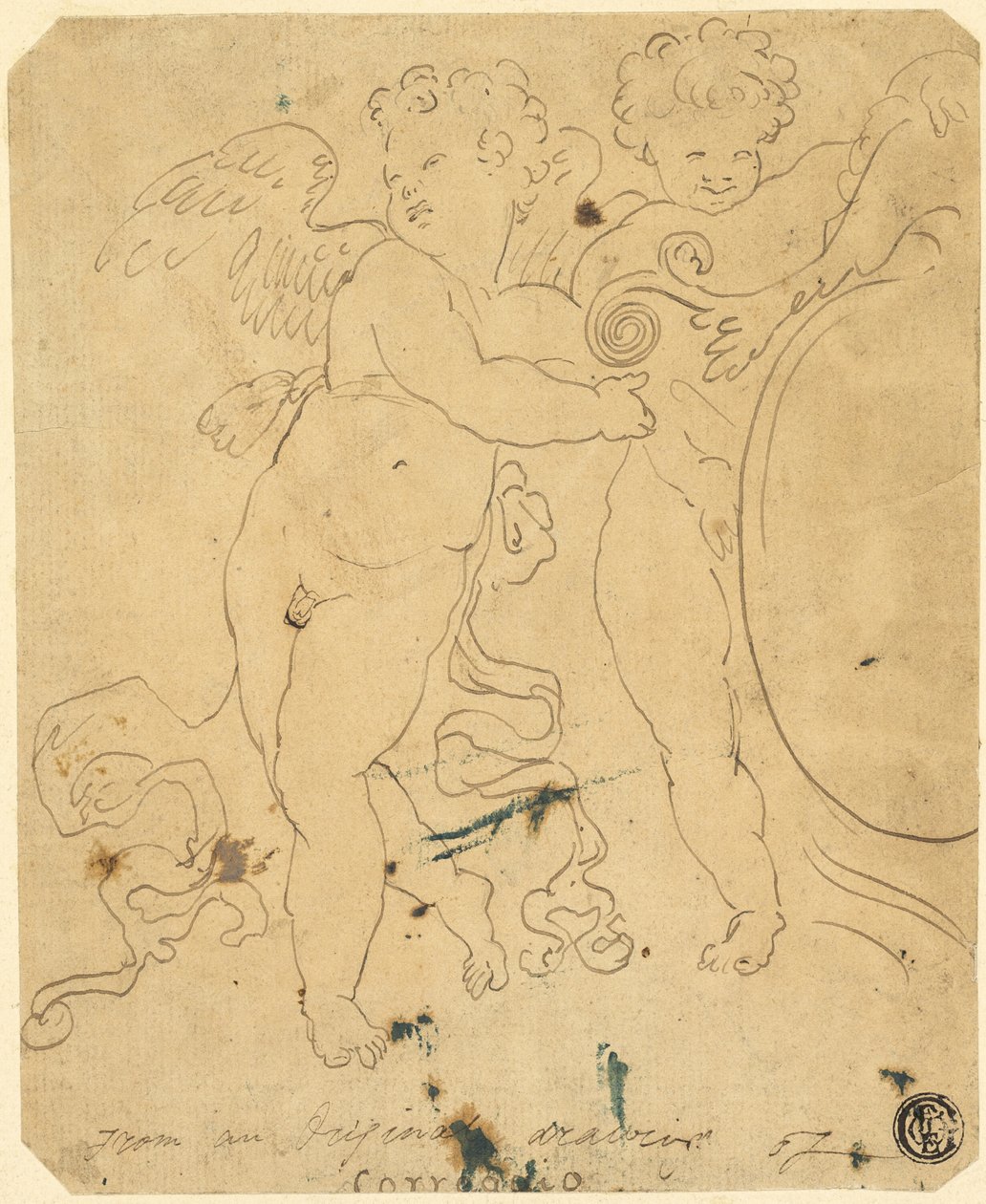 Putti con Scudo da Unknown artist