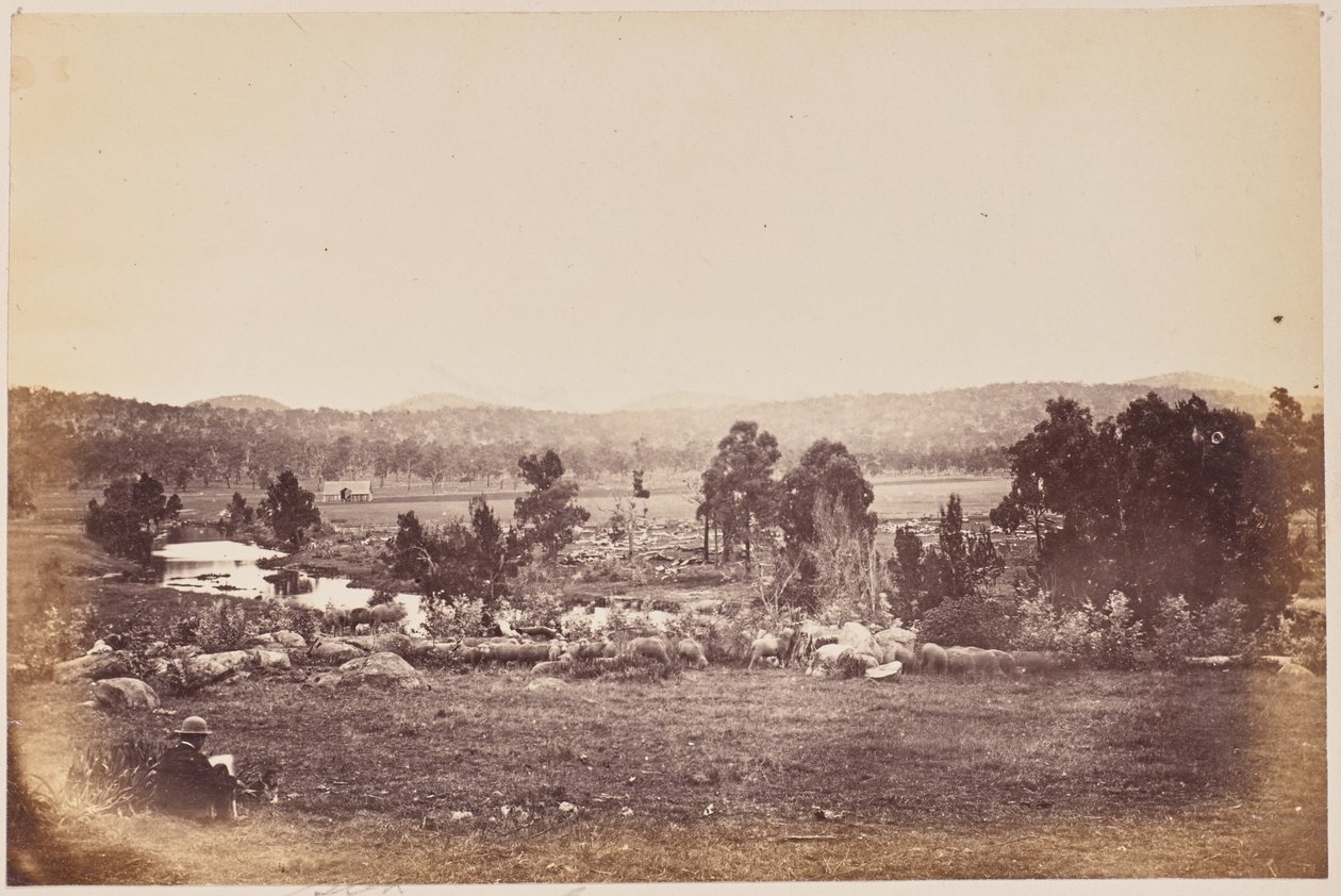 Valle dei Rangers, Nord Est, Glen Innes da Unknown artist