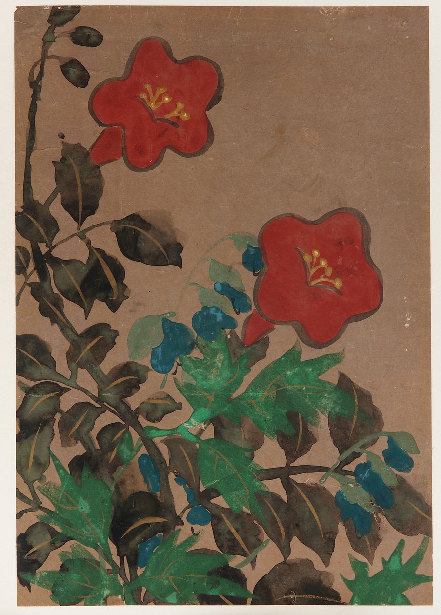 Fiori Rossi e Blu e Foliage da Unknown artist