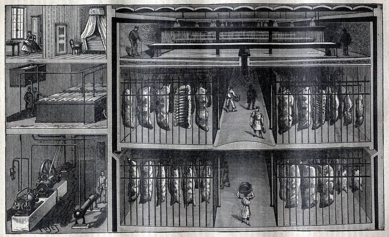 Magazzini refrigerati per carne - Incisione da "La Science française" da Unknown artist