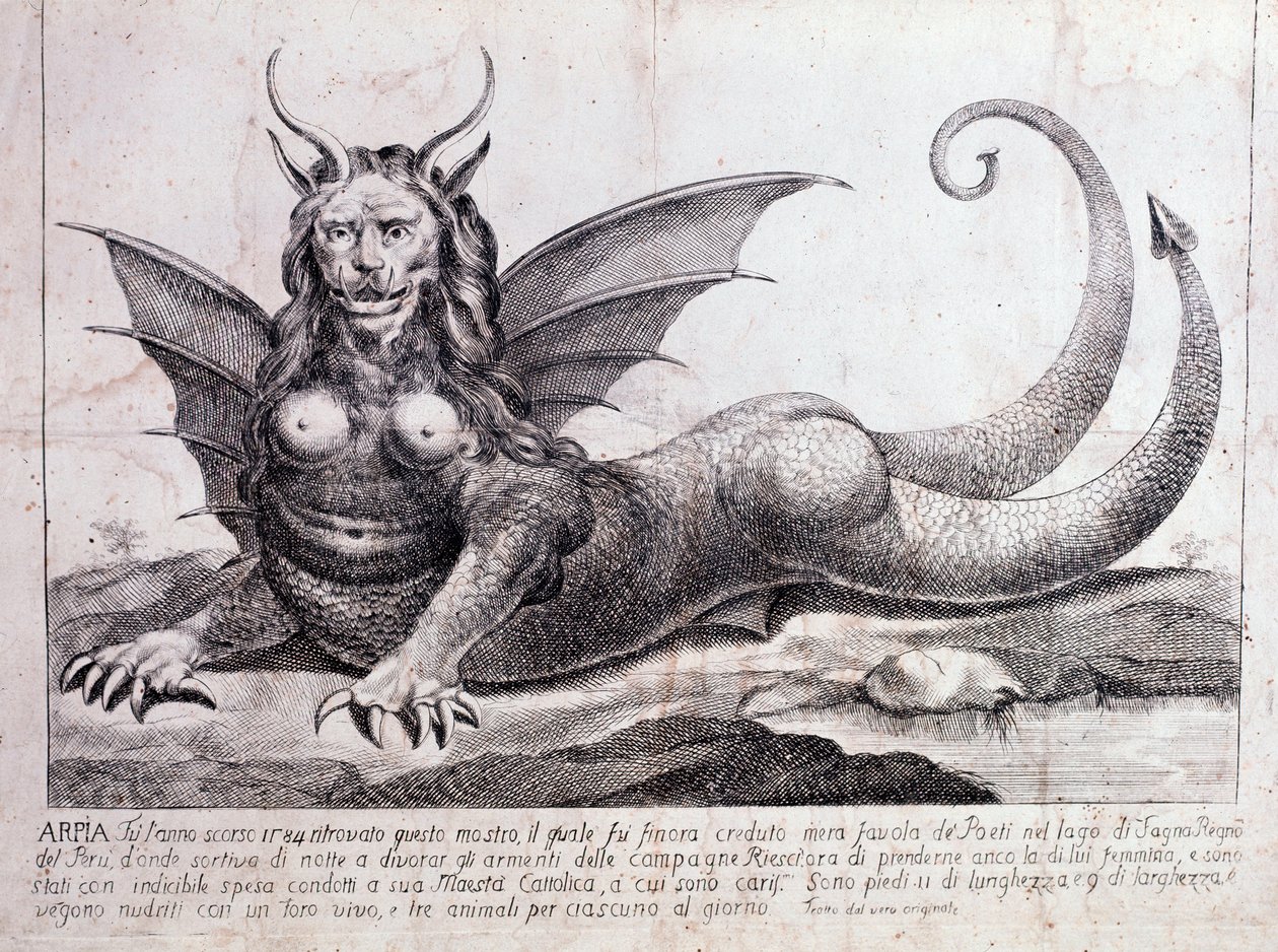 Rappresentazione di un