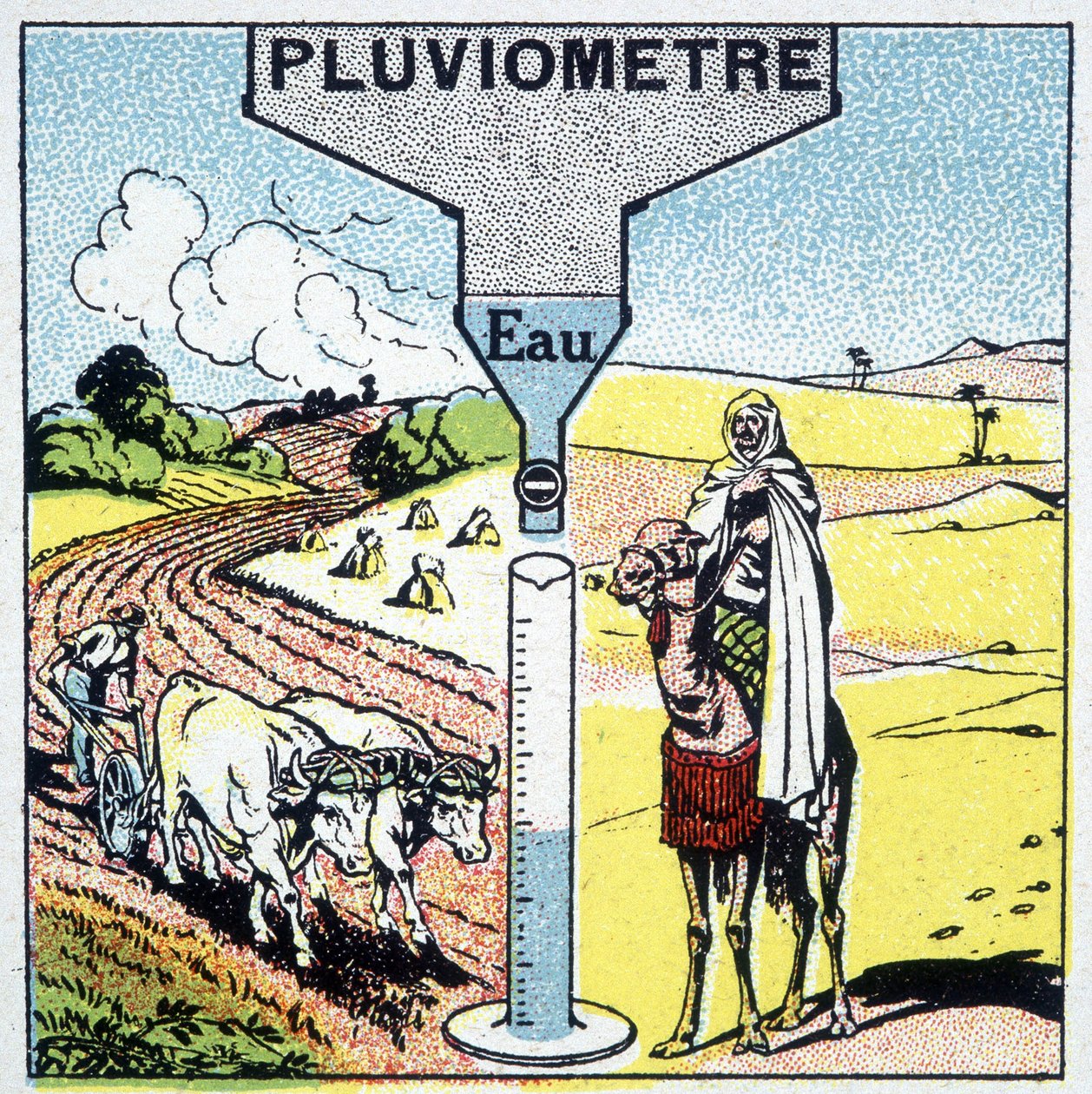 Rappresentazione di una pioggia e degli effetti della pioggia su diverse regioni e la sua influenza sull