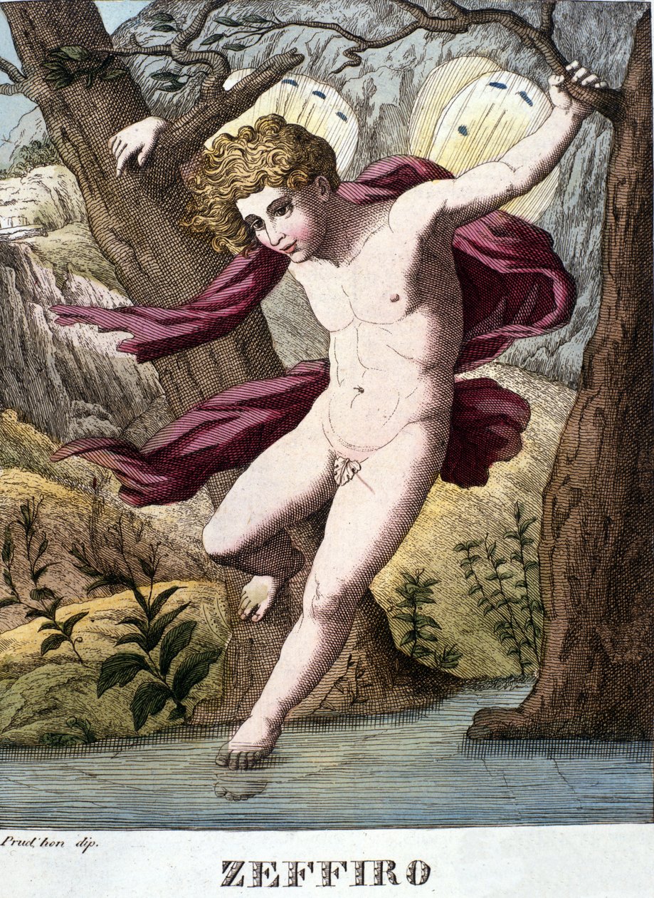 Rappresentazione del dio del vento Zefiro. Tavola tratta da "Dizionario di mitologia" 1888 da Unknown artist