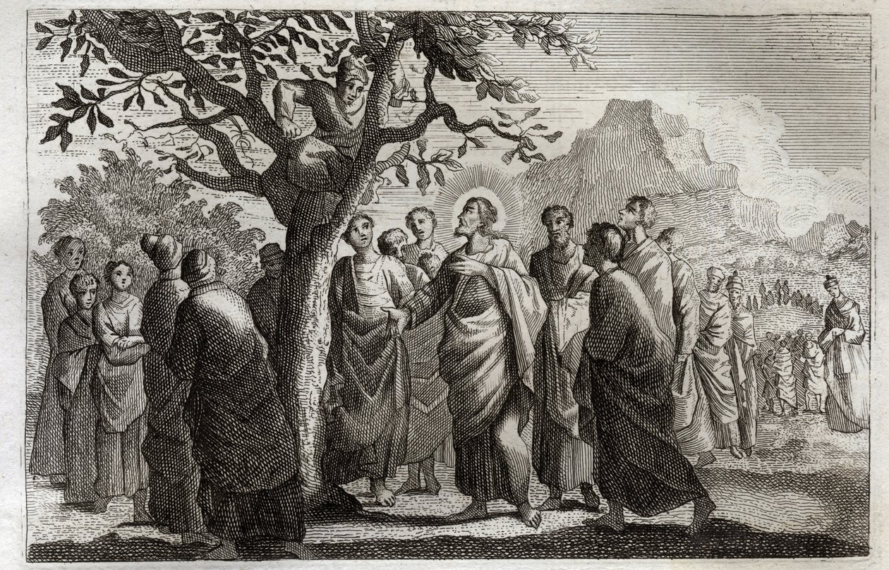 Bibbia di Royaumont, Nuovo Testamento: Conversione di Zacheo. Gesù Cristo parla con Zacheo arrampicato sul sicomoro. Illustrazione del 1811 da Unknown artist