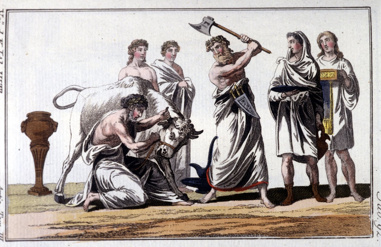 Sacrificio di un toro tra i Celti. Incisione del 19° secolo. da Unknown artist