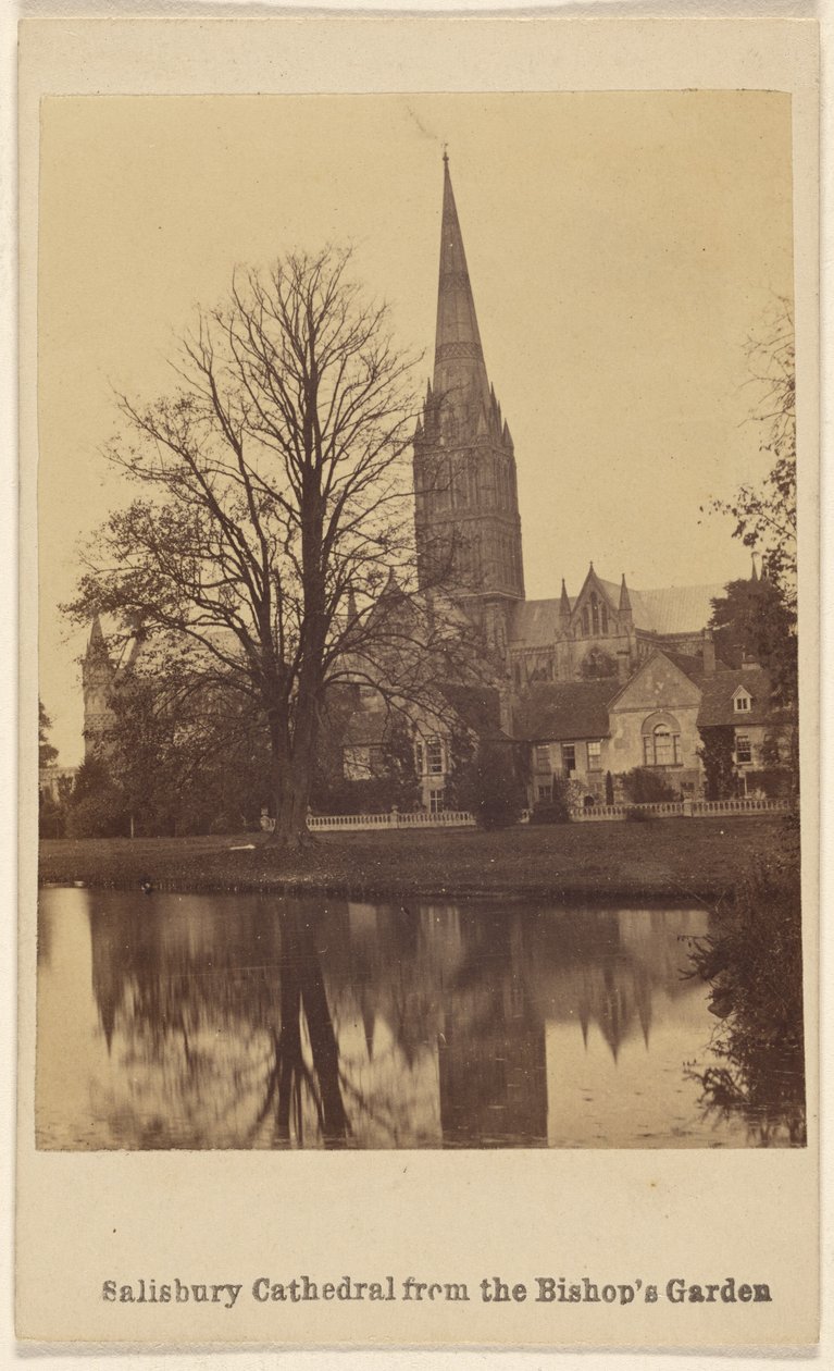 La Cattedrale di Salisbury dal Giardino del Vescovo da Unknown artist
