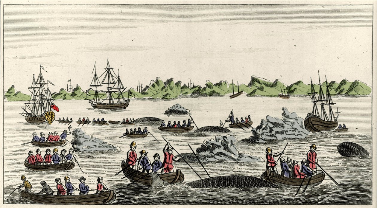 Scena di pesca alla balena in Groenlandia nel XVIII secolo, stampa popolare anonima del periodo da Unknown artist