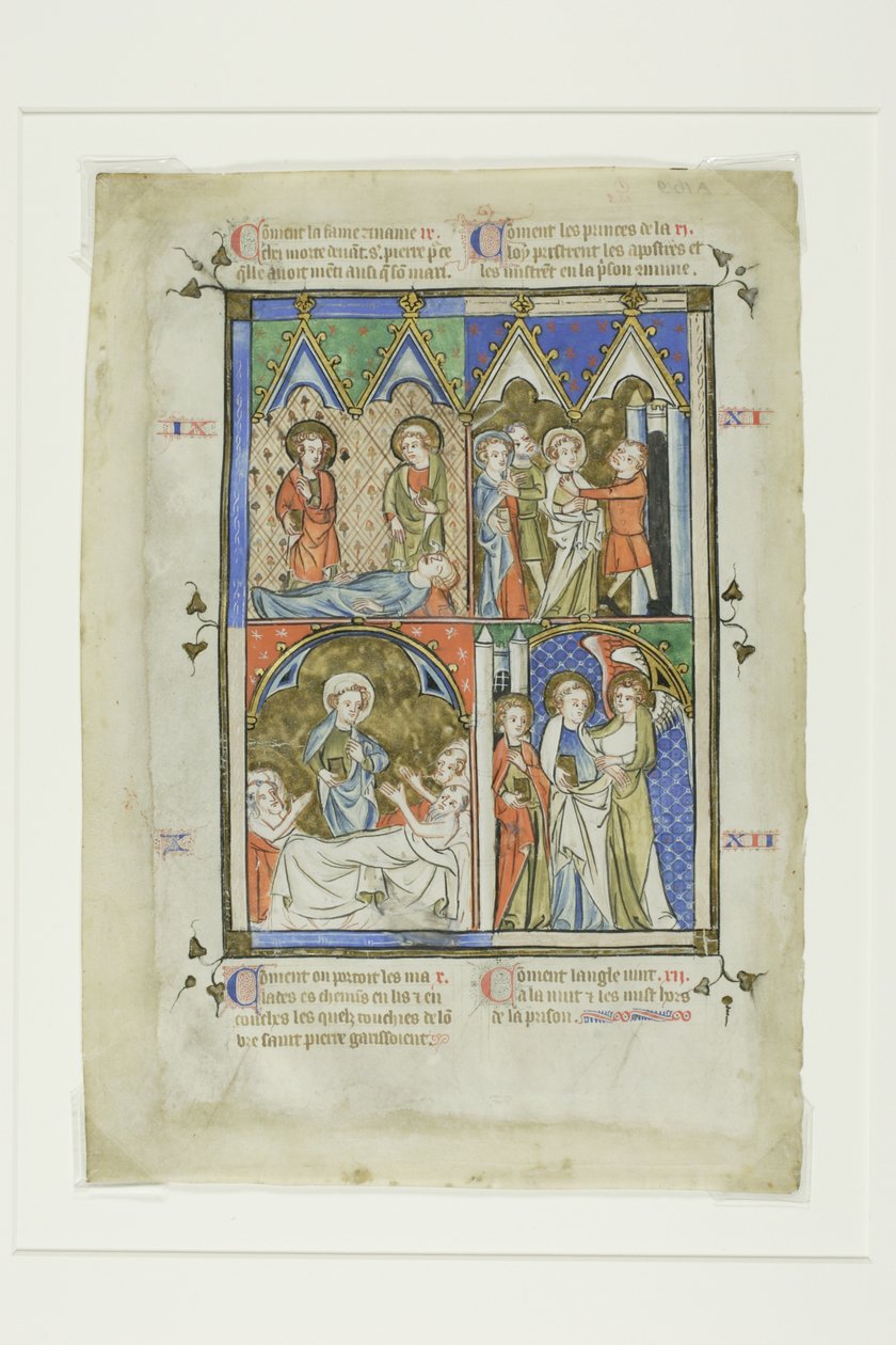 Scene dei miracoli di San Pietro, da una Bibbia Historiale o Nuovo Testamento Pittorico da Unknown artist