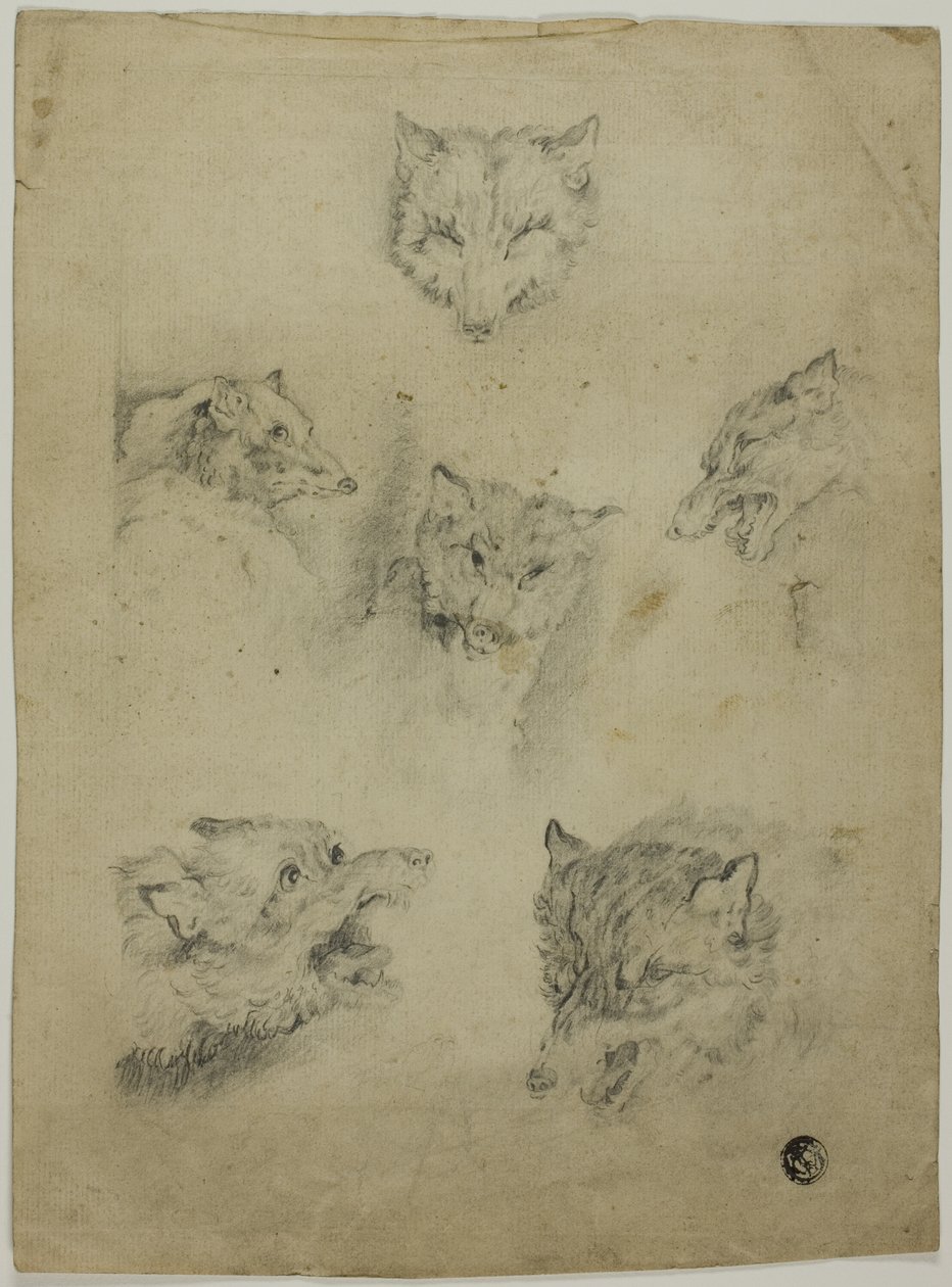 Sei schizzi di teste di lupo da Unknown artist