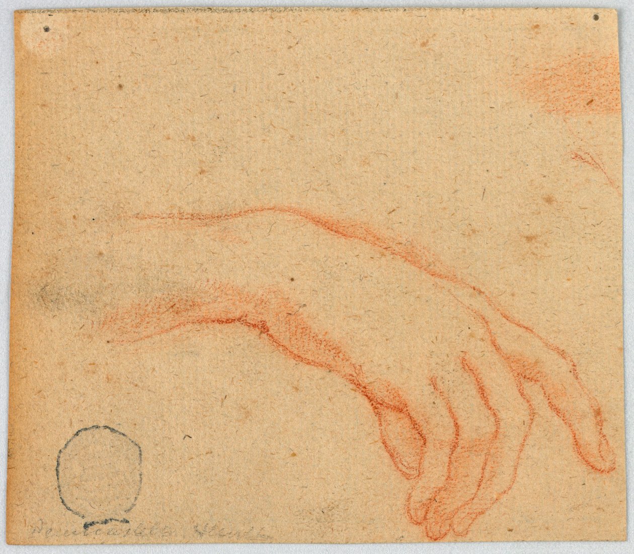 Schizzo di una mano destra da Unknown artist