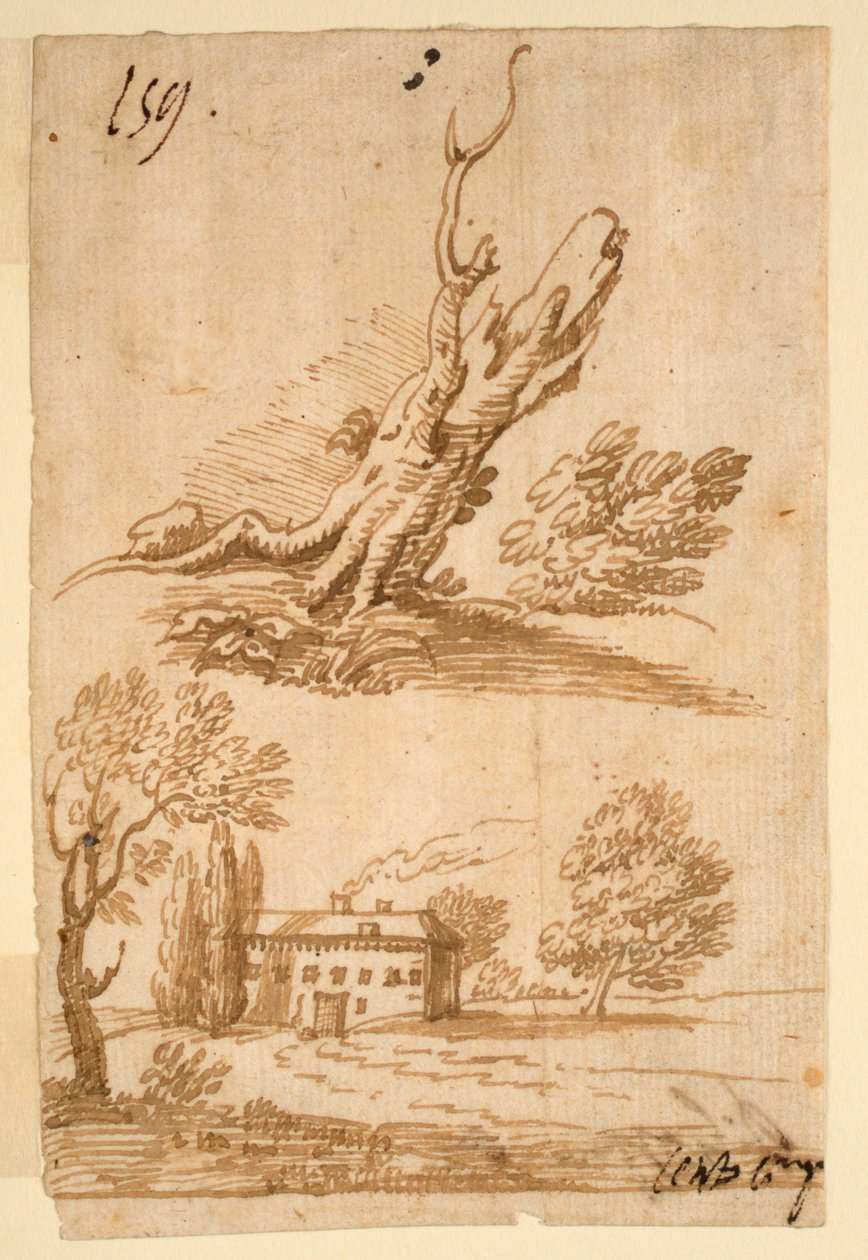 Schizzi di una villa e di un albero da Unknown artist
