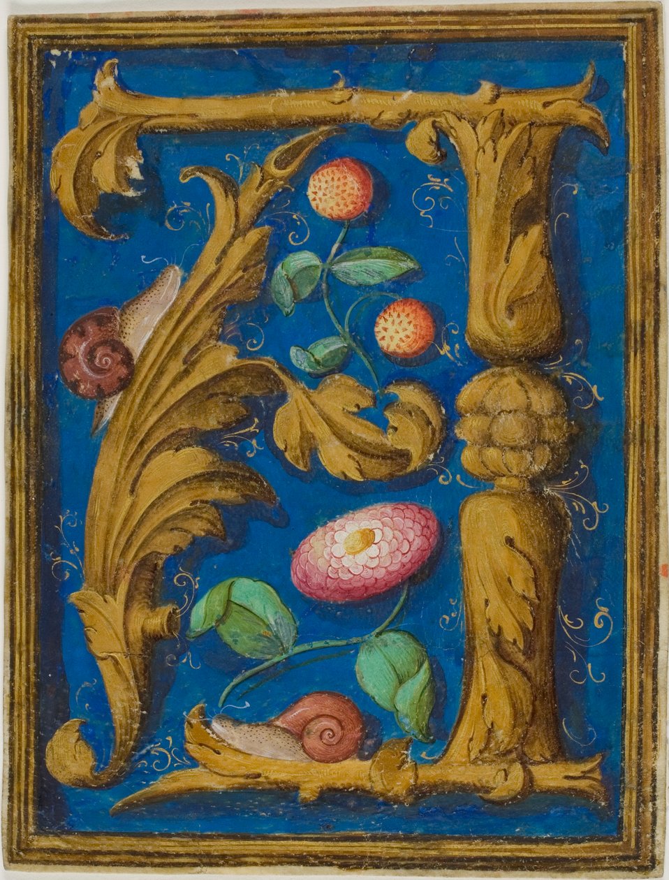 Lumache, fragole e un fiore in un