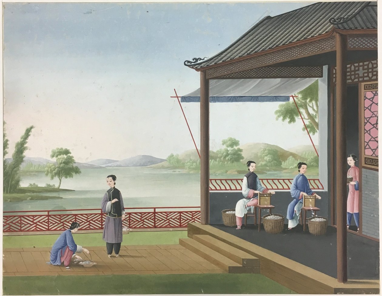 Filatura del tessuto, preparazione delle foglie di tè, preparazione della seta da Unknown artist
