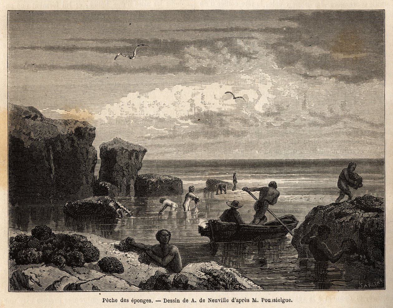 Pesca di spugne dagli isolani dell