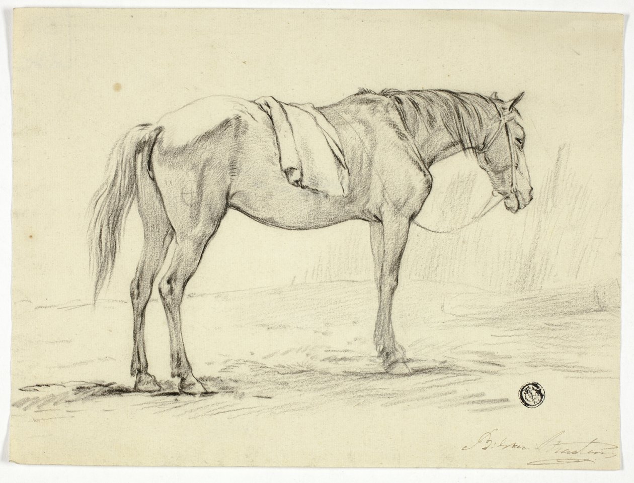 Cavallo in piedi da Unknown artist