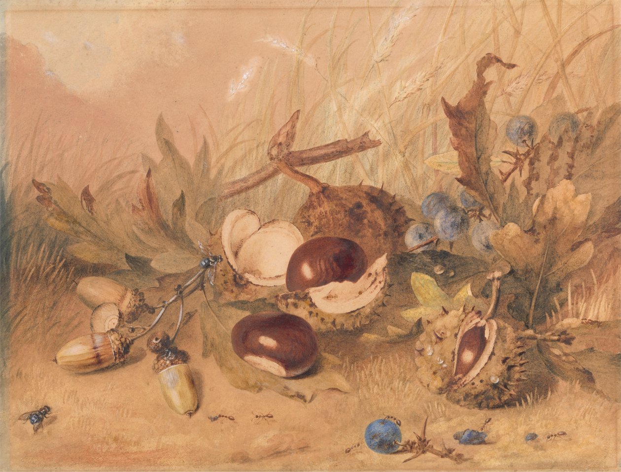 Natura morta con ghiande e castagne da Unknown artist