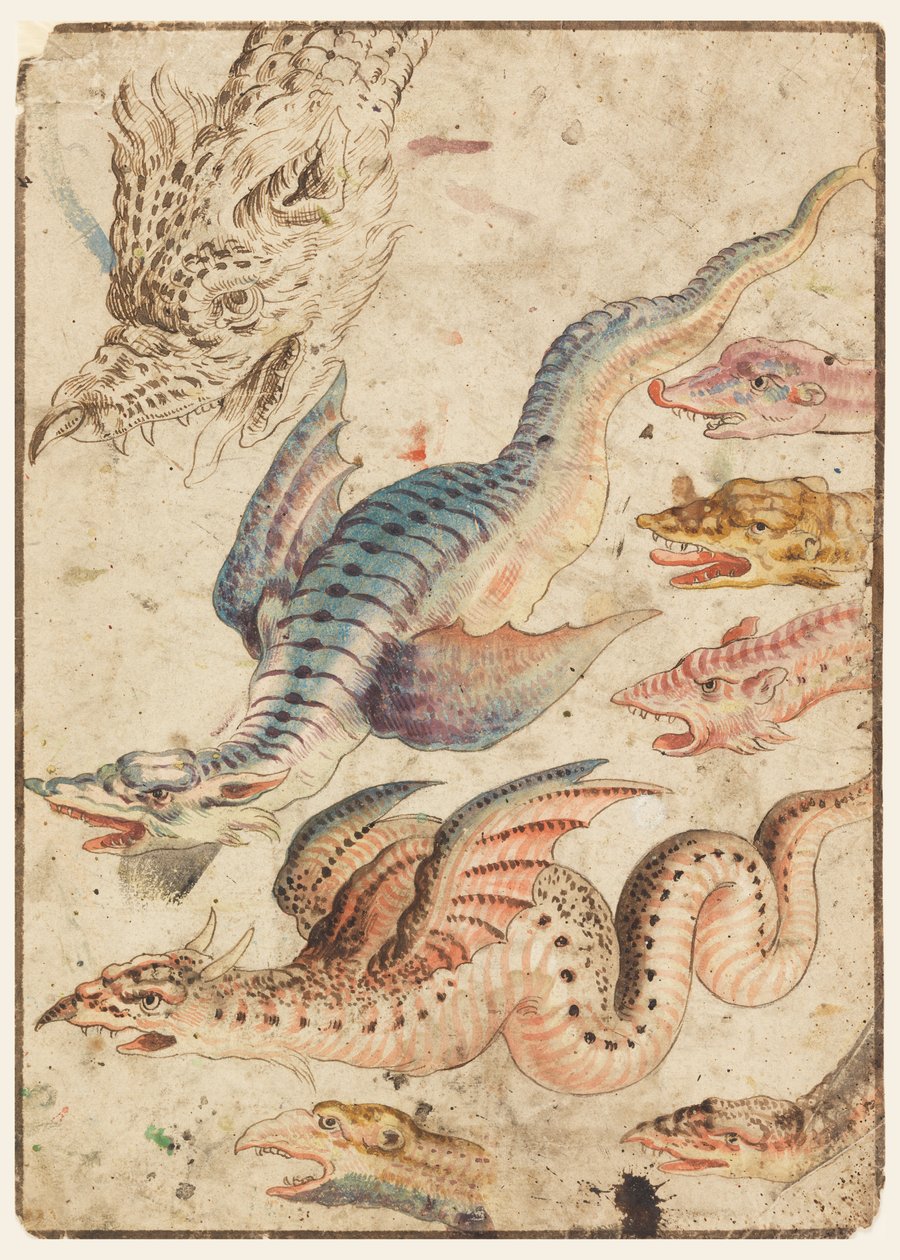 Studi di un drago da Unknown artist